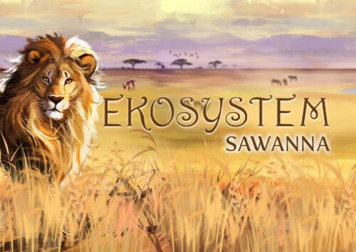 Ekosystem 3 – sawanna