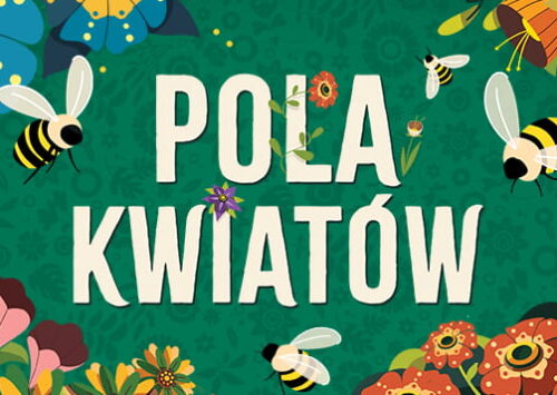 Pola kwiatów